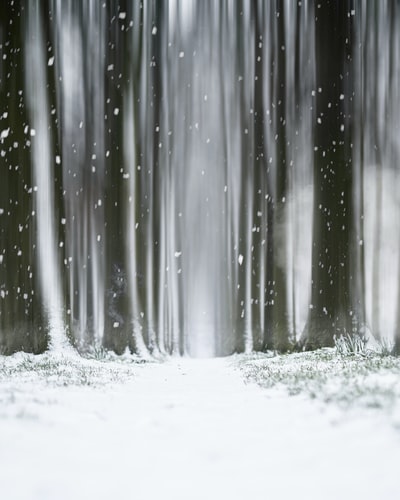 白雪在白色的表面